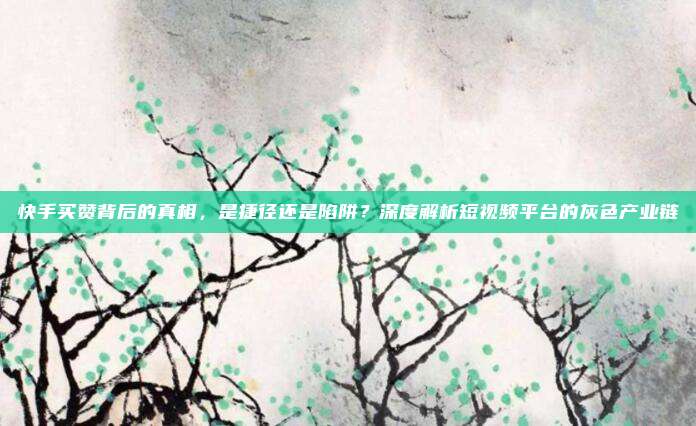快手买赞背后的真相,是捷径还是陷阱?深度解析短视频平台的灰色产业链