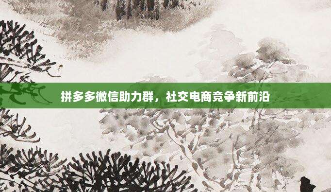 拼多多微信助力群,社交电商竞争新前沿
