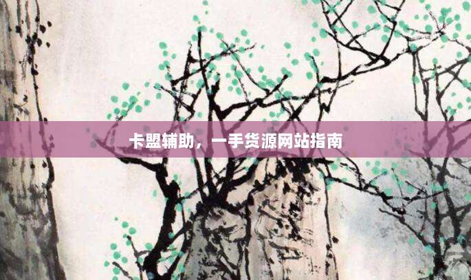 卡盟辅助,一手货源网站指南