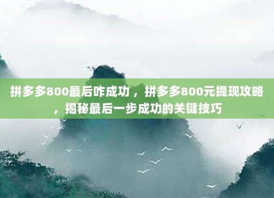 拼多多800最后咋成功 ,拼多多800元提现攻略,揭秘最后一步成功的关键技巧