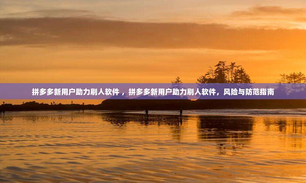 拼多多新用户助力刷人软件 ,拼多多新用户助力刷人软件,风险与防范指南