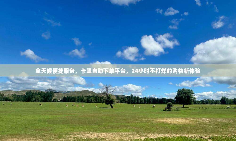 全天候便捷服务,卡盟自助下单平台,24小时不打烊的购物新体验