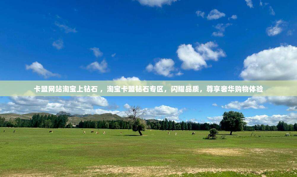 卡盟网站淘宝上钻石 ,淘宝卡盟钻石专区,闪耀品质,尊享奢华购物体验