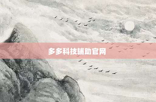 多多科技辅助官网