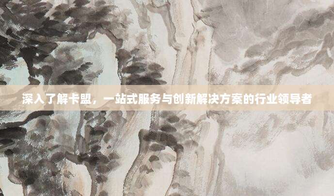 深入了解卡盟,一站式服务与创新解决方案的行业领导者