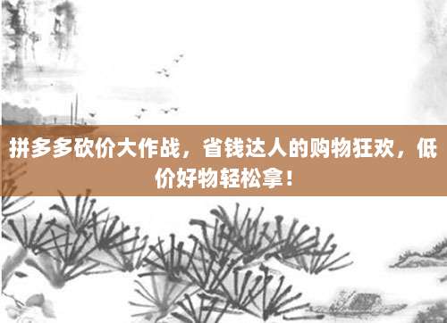 拼多多砍价大作战,省钱达人的购物狂欢,低价好物轻松拿!