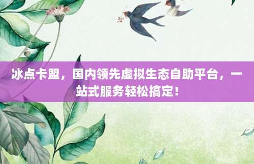 冰点卡盟,国内领先虚拟生态自助平台,一站式服务轻松搞定!