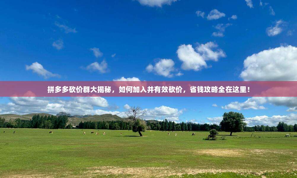 拼多多砍价群大揭秘,如何加入并有效砍价,省钱攻略全在这里!