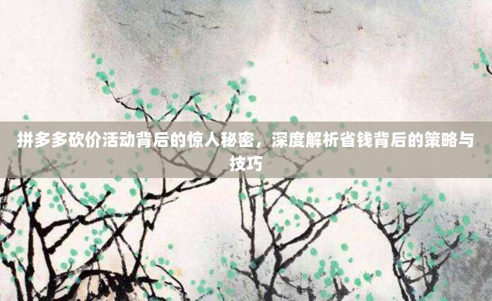 拼多多砍价活动背后的惊人秘密,深度解析省钱背后的策略与技巧