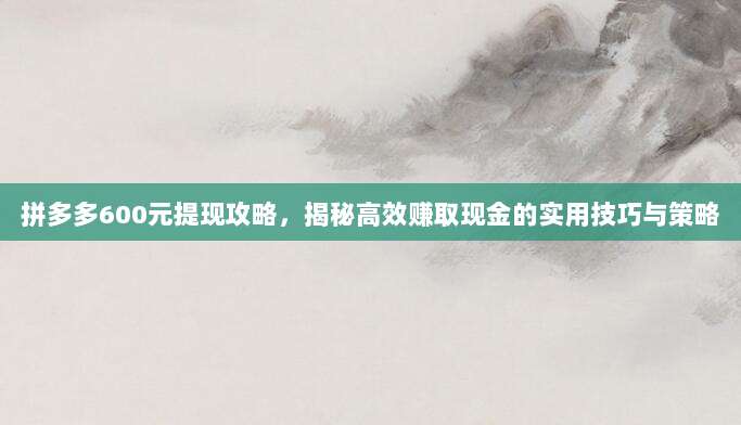 拼多多600元提现攻略,揭秘高效赚取现金的实用技巧与策略