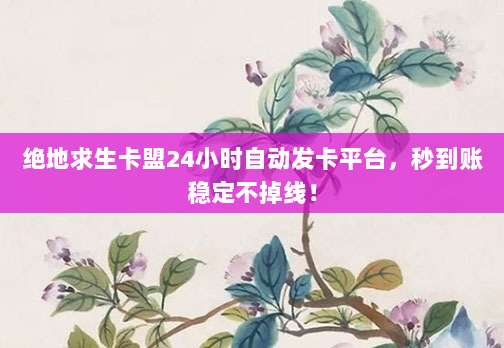 绝地求生卡盟24小时自动发卡平台,秒到账稳定不掉线!