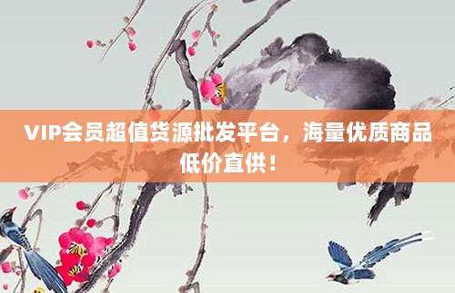 VIP会员超值货源批发平台,海量优质商品低价直供!
