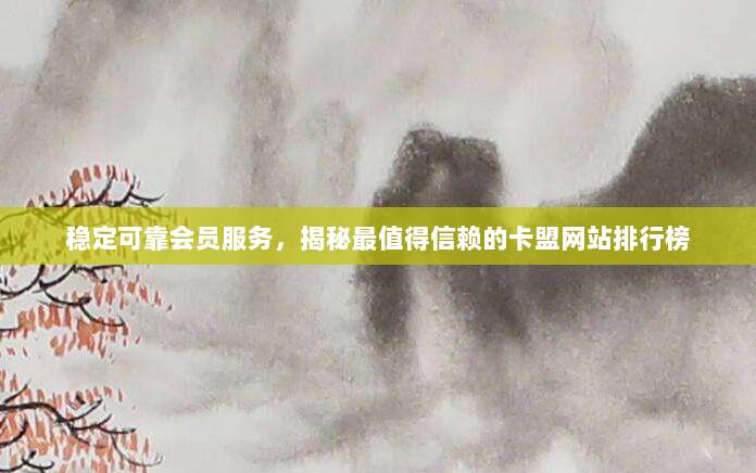 稳定可靠会员服务,揭秘最值得信赖的卡盟网站排行榜