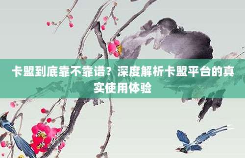 卡盟到底靠不靠谱?深度解析卡盟平台的真实使用体验