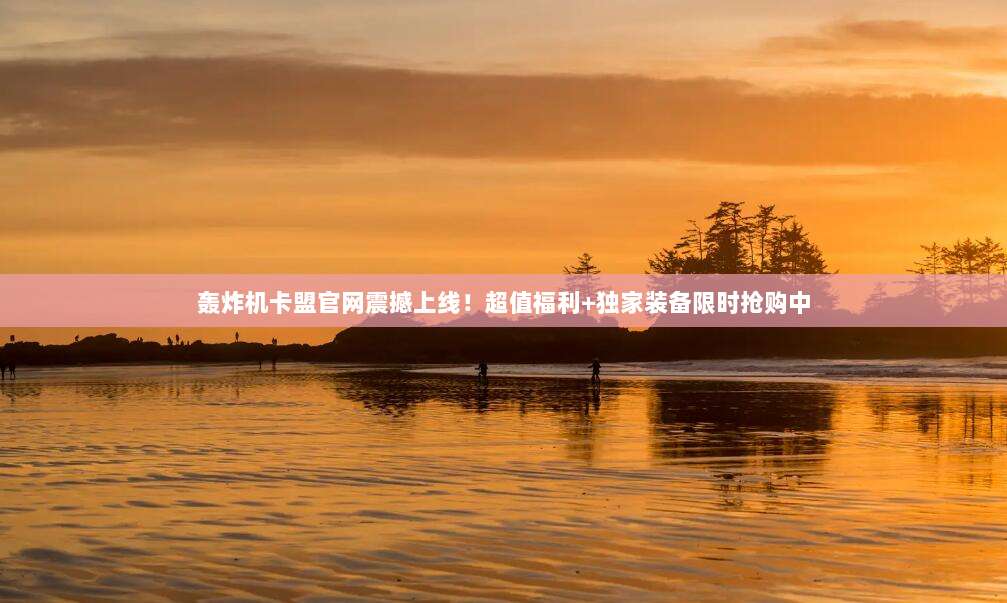 轰炸机卡盟官网震撼上线!超值福利+独家装备限时抢购中
