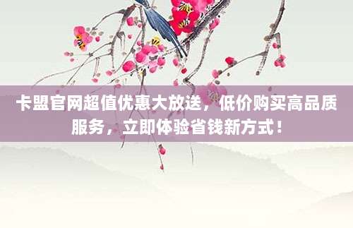卡盟官网超值优惠大放送,低价购买高品质服务,立即体验省钱新方式!