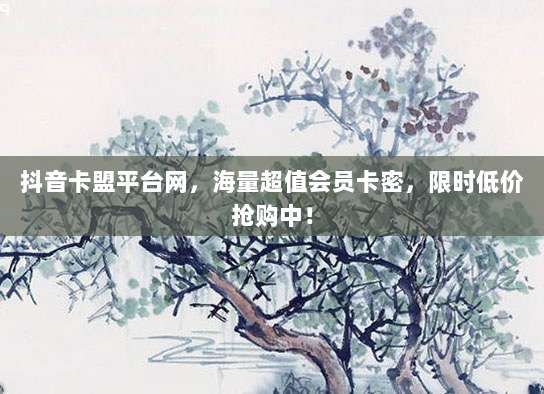 抖音卡盟平台网,海量超值会员卡密,限时低价抢购中!