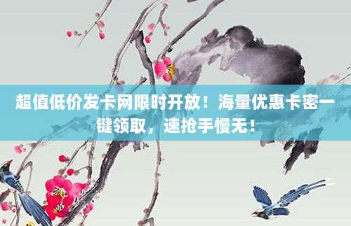 超值低价发卡网限时开放!海量优惠卡密一键领取,速抢手慢无!