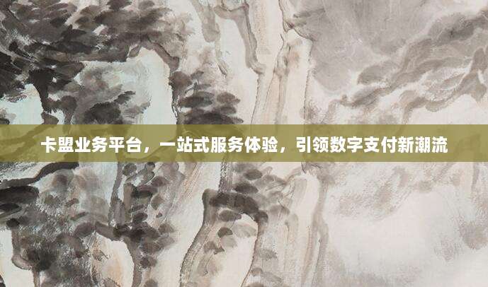 卡盟业务平台,一站式服务体验,引领数字支付新潮流