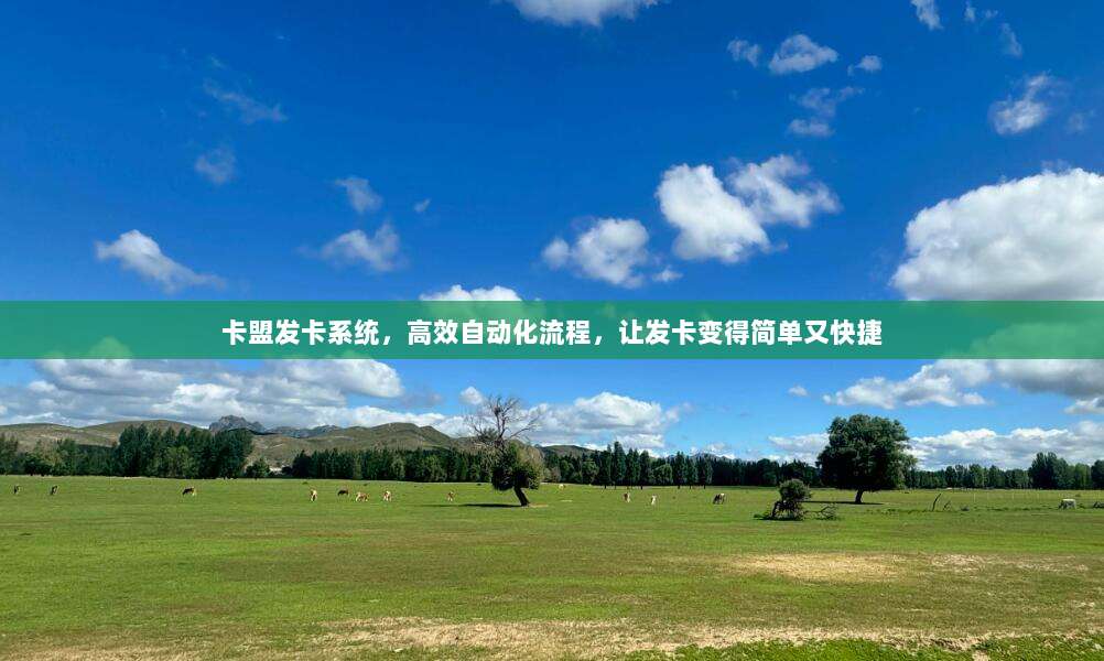 卡盟发卡系统,高效自动化流程,让发卡变得简单又快捷
