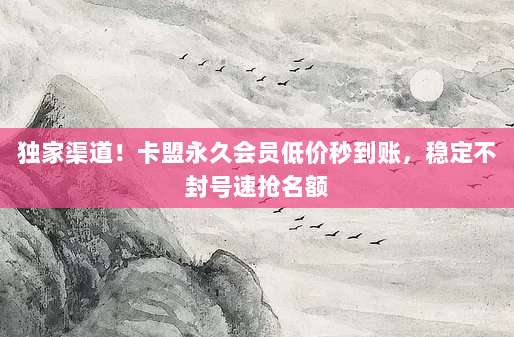 独家渠道!卡盟永久会员低价秒到账,稳定不封号速抢名额