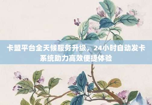卡盟平台全天候服务升级,24小时自动发卡系统助力高效便捷体验