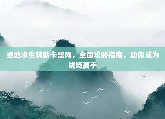 绝地求生辅助卡盟网,全面攻略指南,助你成为战场高手