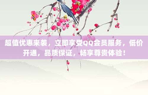 超值优惠来袭,立即享受QQ会员服务,低价开通,品质保证,畅享尊贵体验!