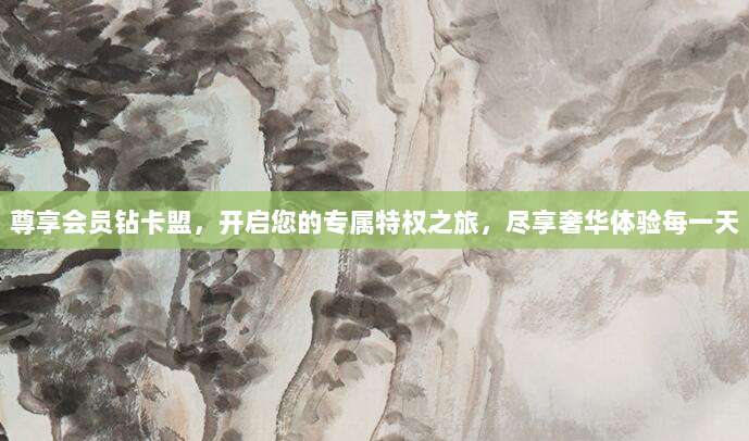 尊享会员钻卡盟,开启您的专属特权之旅,尽享奢华体验每一天