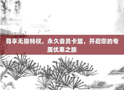 尊享无限特权,永久会员卡盟,开启您的专属优惠之旅