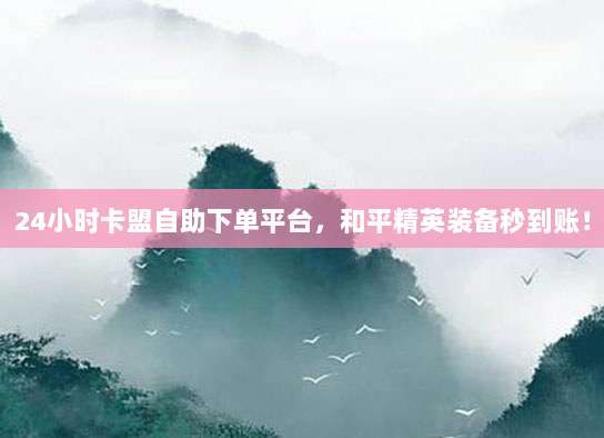 24小时卡盟自助下单平台,和平精英装备秒到账!