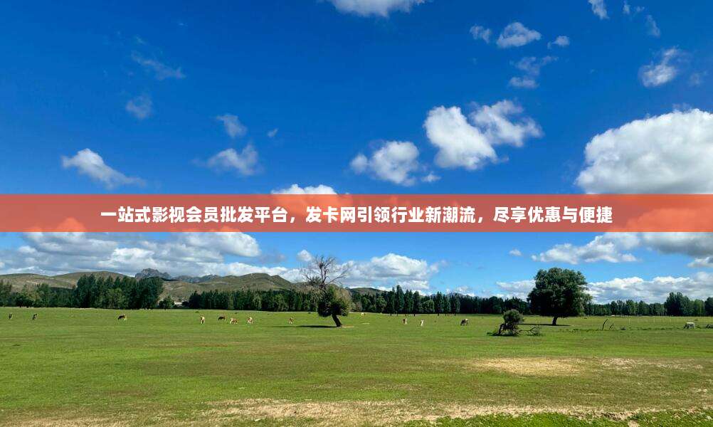 一站式影视会员批发平台,发卡网引领行业新潮流,尽享优惠与便捷