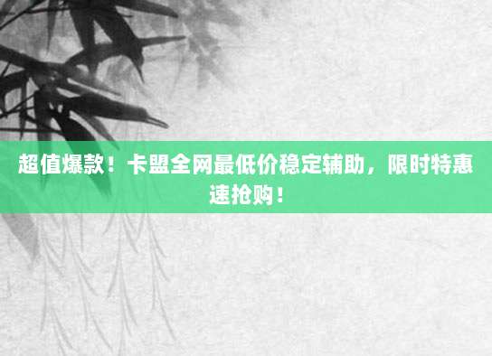 超值爆款!卡盟全网最低价稳定辅助,限时特惠速抢购!