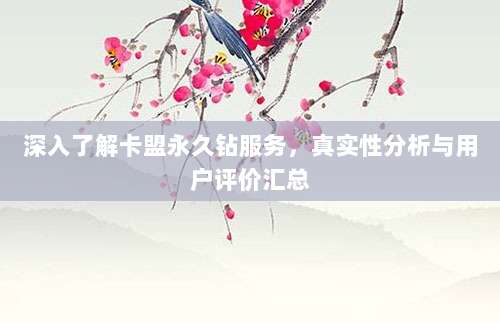 深入了解卡盟永久钻服务,真实性分析与用户评价汇总