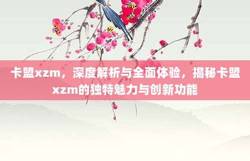 卡盟xzm,深度解析与全面体验,揭秘卡盟xzm的独特魅力与创新功能