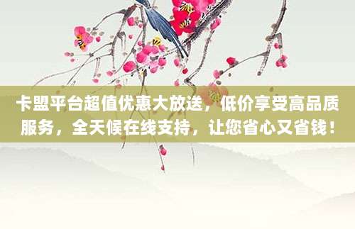 卡盟平台超值优惠大放送,低价享受高品质服务,全天候在线支持,让您省心又省钱!