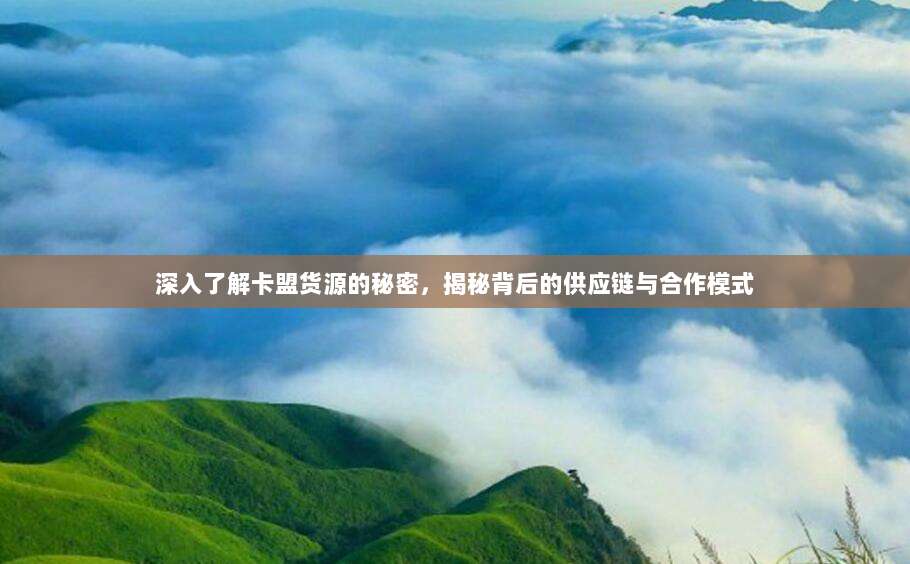 深入了解卡盟货源的秘密,揭秘背后的供应链与合作模式