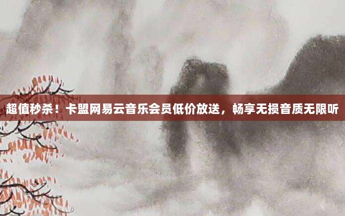 超值秒杀！卡盟网易云音乐会员低价放送，畅享无损音质无限听