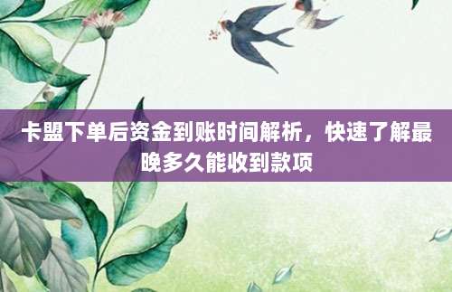 卡盟下单后资金到账时间解析,快速了解最晚多久能收到款项