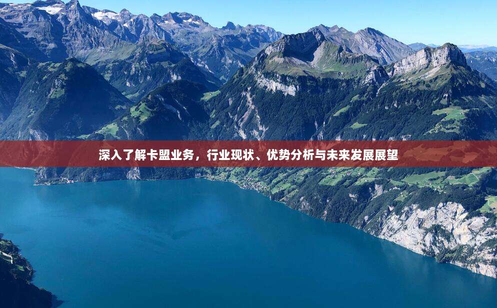 深入了解卡盟业务,行业现状、优势分析与未来发展展望