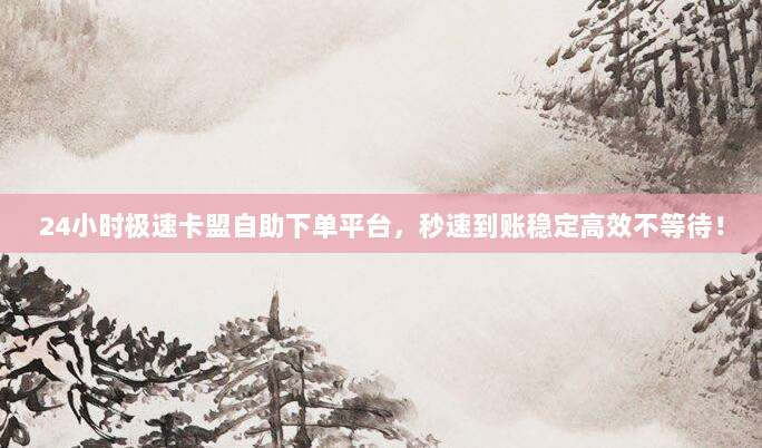 24小时极速卡盟自助下单平台,秒速到账稳定高效不等待!