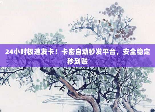 24小时极速发卡!卡密自动秒发平台,安全稳定秒到账