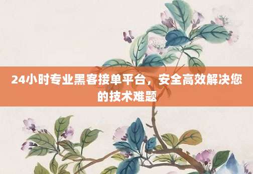 24小时专业黑客接单平台,安全高效解决您的技术难题