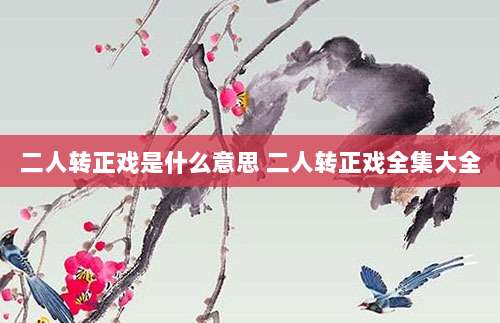 二人转正戏是什么意思 二人转正戏全集大全