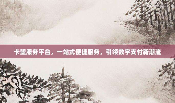 卡盟服务平台,一站式便捷服务,引领数字支付新潮流