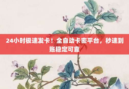 24小时极速发卡!全自动卡密平台,秒速到账稳定可靠