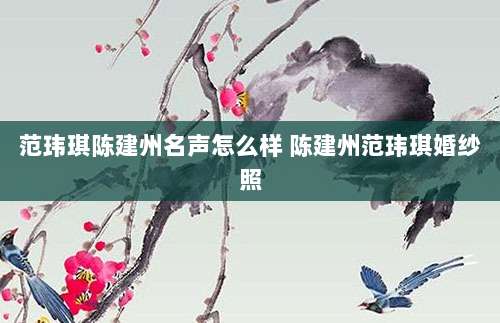 范玮琪陈建州名声怎么样 陈建州范玮琪婚纱照