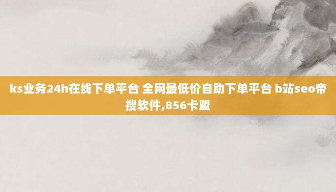 ks业务24h在线下单平台 全网最低价自助下单平台 b站seo帝搜软件,856卡盟