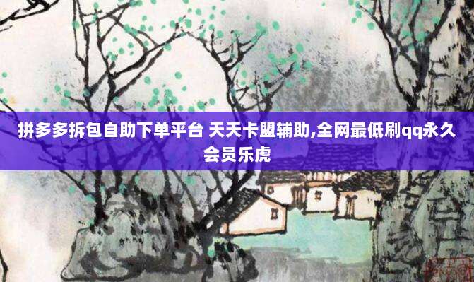 拼多多拆包自助下单平台 天天卡盟辅助,全网最低刷qq永久会员乐虎