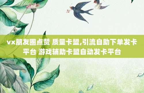 vx朋友圈点赞 质量卡盟,引流自助下单发卡平台 游戏辅助卡盟自动发卡平台